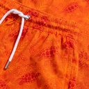 kabl-2-2photo.jpg